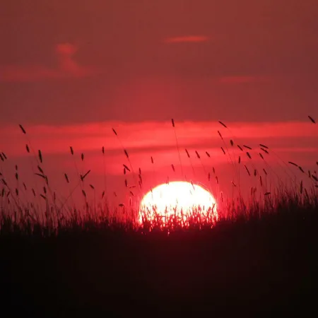 Bed and breakfast Ballyvoe House