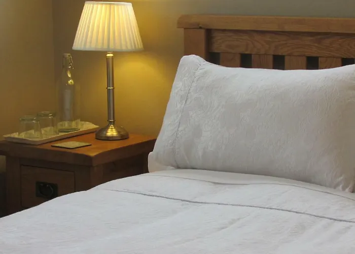 Ballyvoe House Bed and breakfast