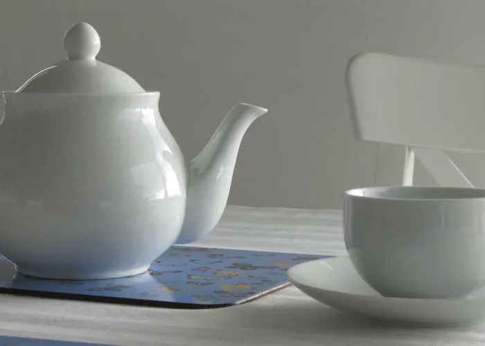 住宿加早餐酒店 Ballyvoe House *