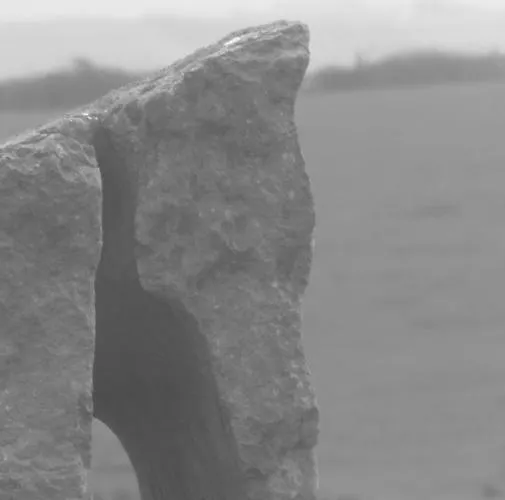 Ballyvoe House 住宿加早餐酒店 杜林