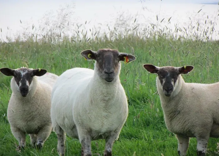 Ballyvoe House Doolin