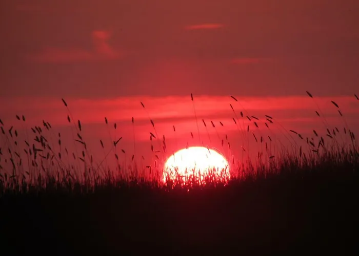 住宿加早餐酒店 Ballyvoe House