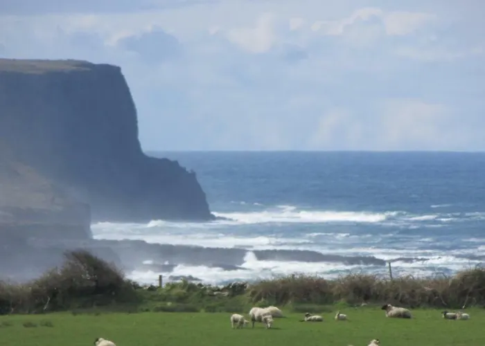 ベッド・アンド・ブレックファスト Ballyvoe House ドゥーリン